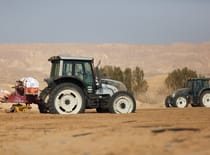 אפיון וניתוח הפתרון