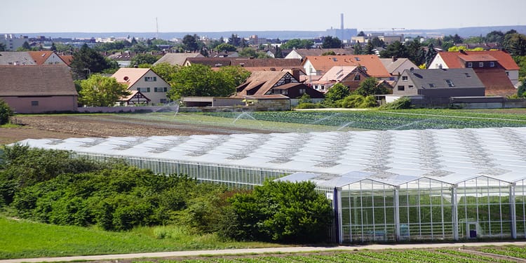 Greenhouse Structures