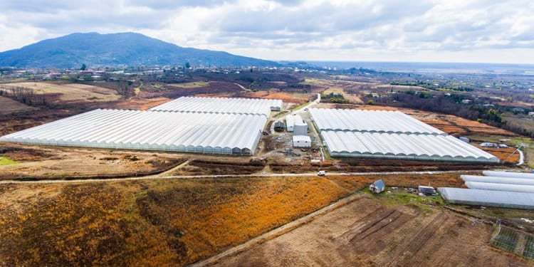 Greenhouse Project Management