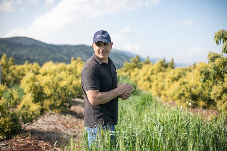 Farmers at work