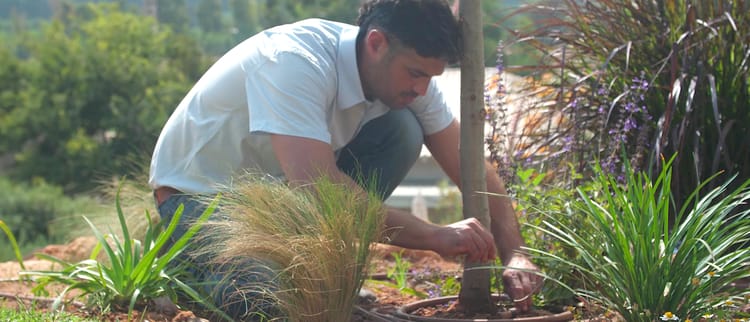סרטוני הדרכה גינון