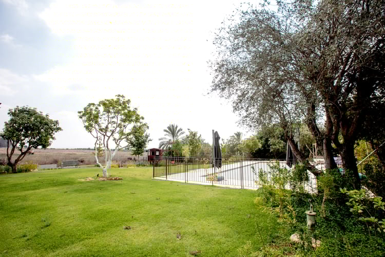 השקיית מדשאות