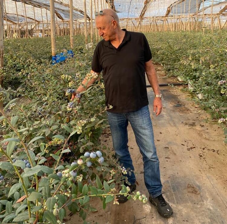 Man next to Growsphere