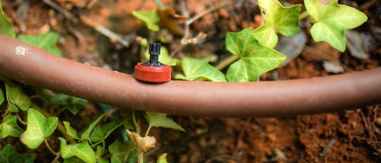 מגוון סוגי טפטפות ננעצות בהתאמה אישית - לגינה ירוקה ופורחת