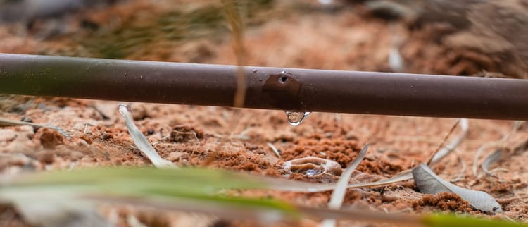 מוצרי השקיה וגינון