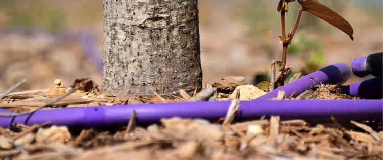 פתרונות להשקיה מדויקת וחסכונית בכל תנאי שטח