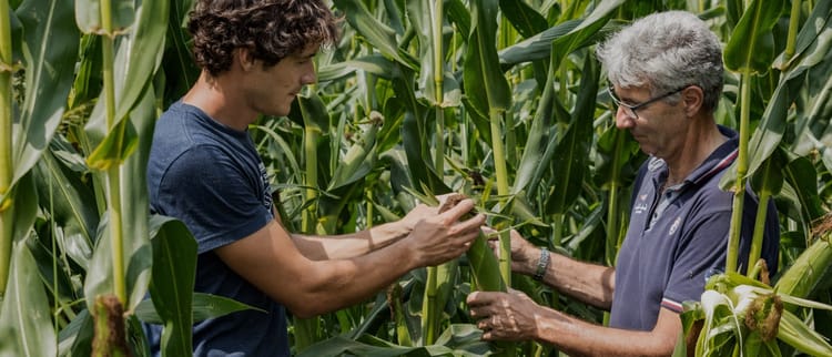 פתרונות מתקדמים לחקלאים