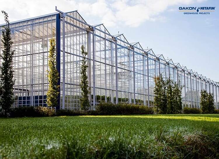 turnkey greenhouse