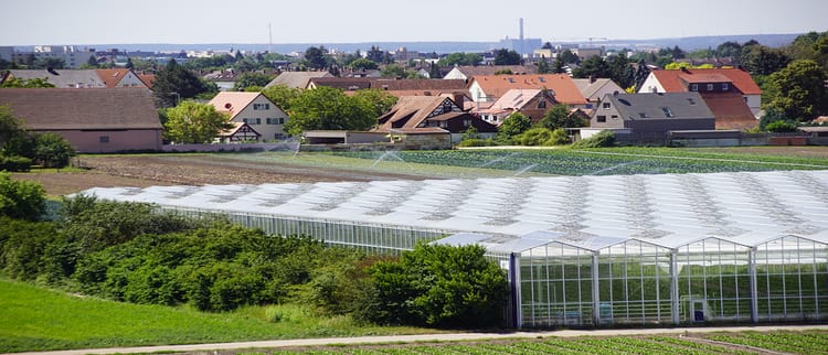 Greenhouse Structures