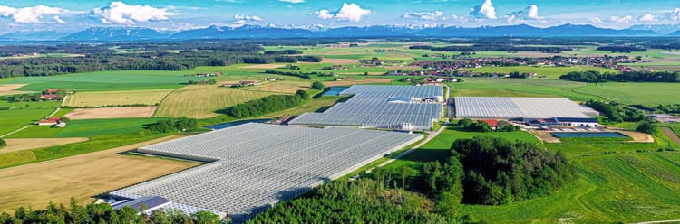 Venlo Glasshouse