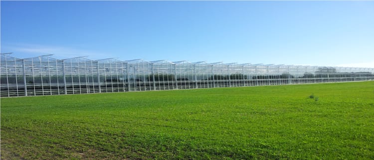 Greenhouse Financing