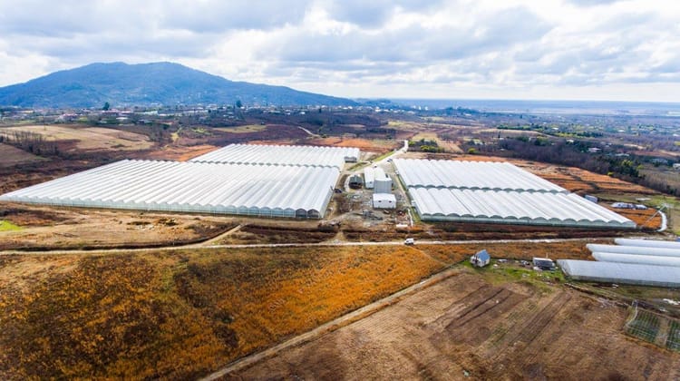Greenhouse Project Management