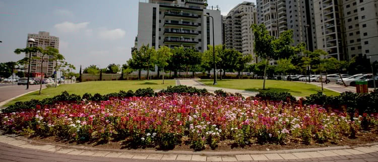 שותפים שלך בדרך לפרויקט גינון בתחום הציבורי
