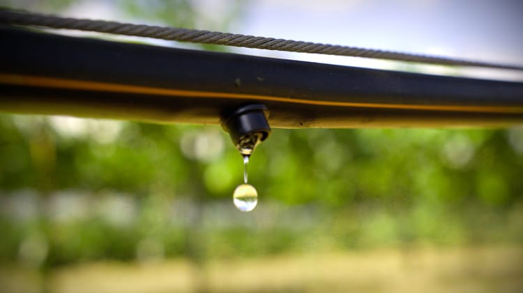 שלוחת טפטוף היברידית