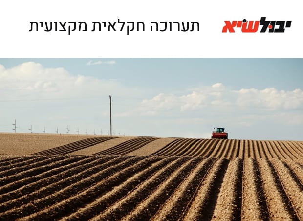 יבול שיא