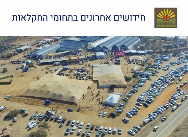 ערבה