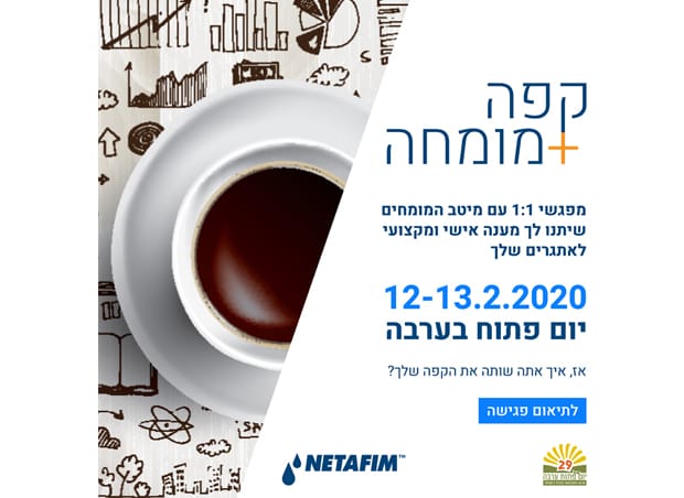 קפה + מומחה