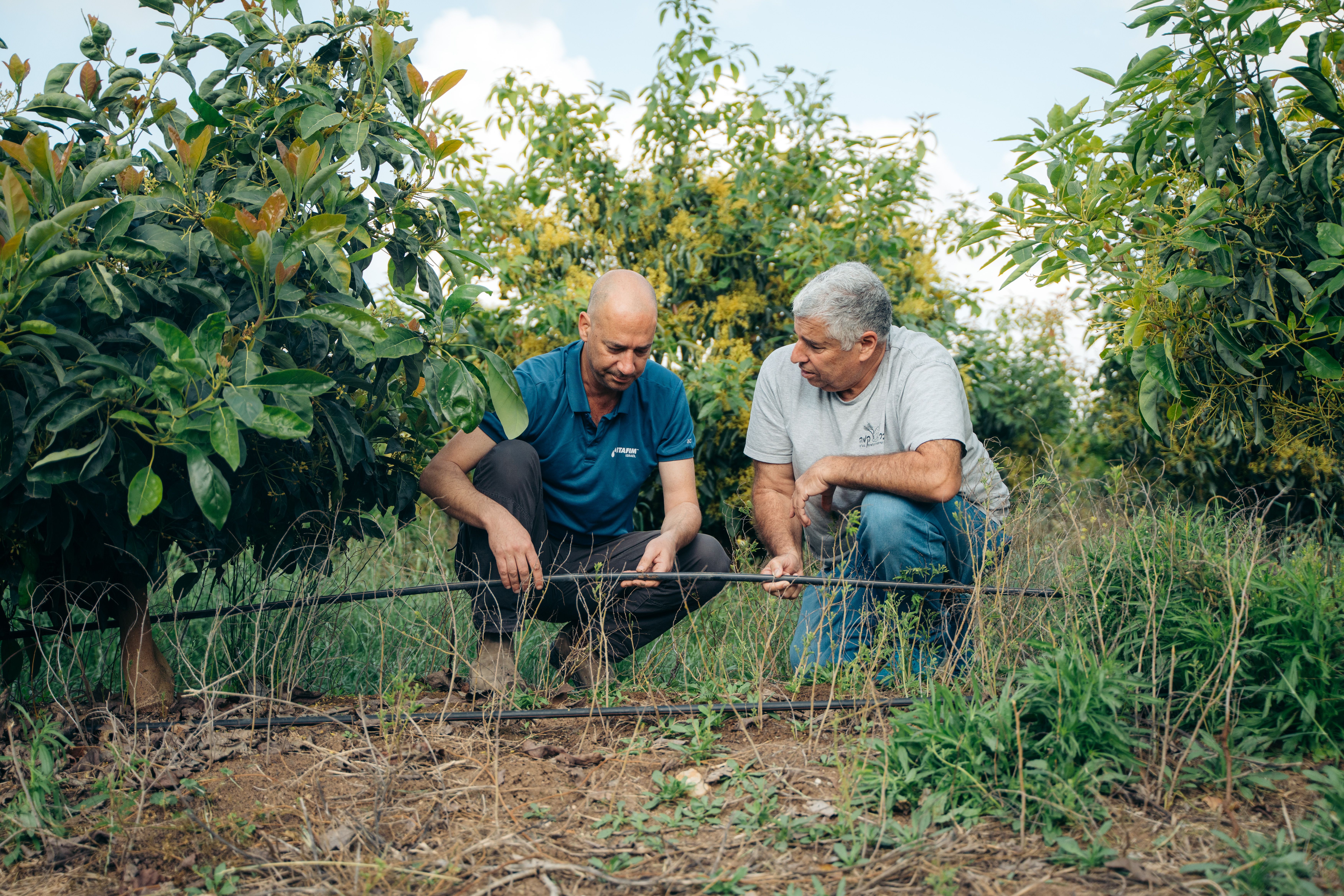 יצירת אפיק הכנסה נוסף: