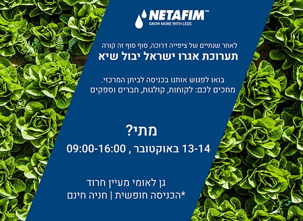תערוכת יבול שיא