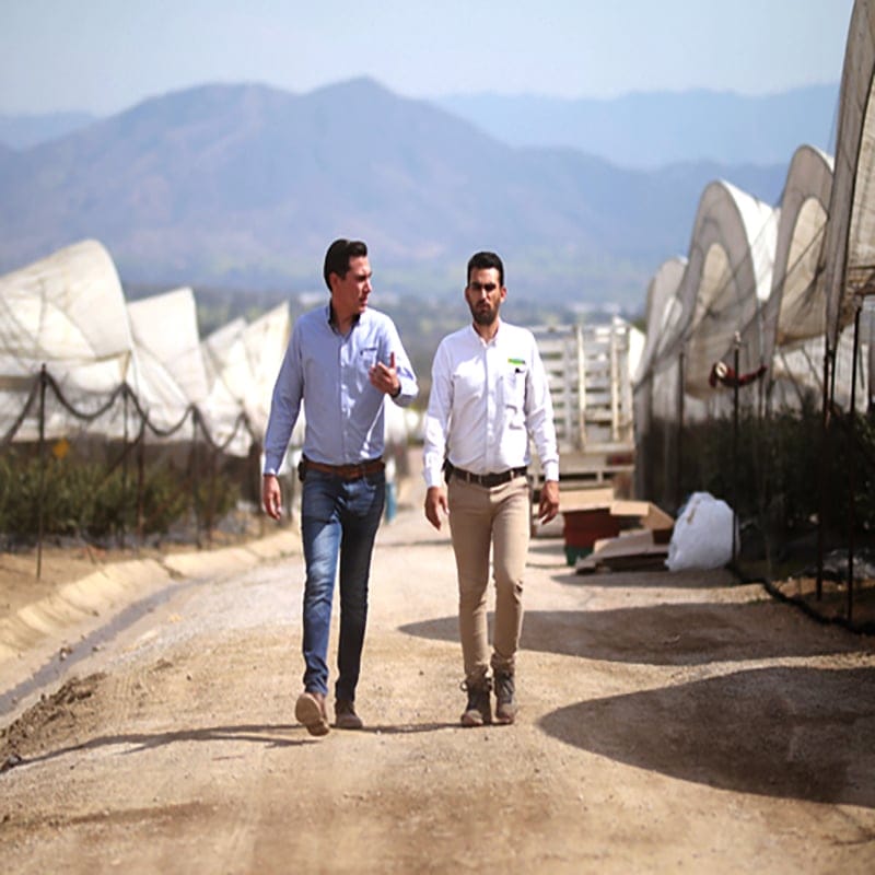 שירותי מימון