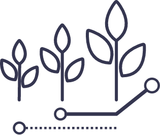 המלצות גידול