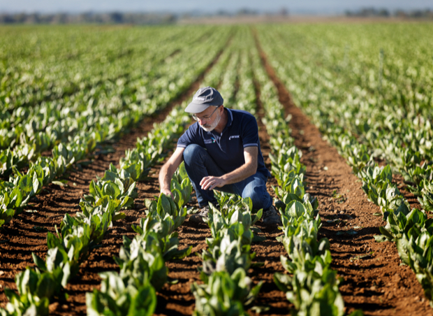 Netafim irrigation company - by farmers, for farmers