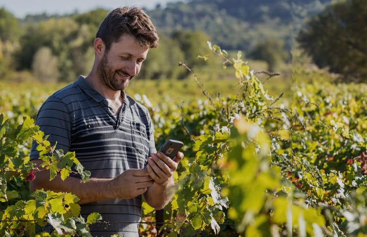 תדע יותר, תגדל יותר